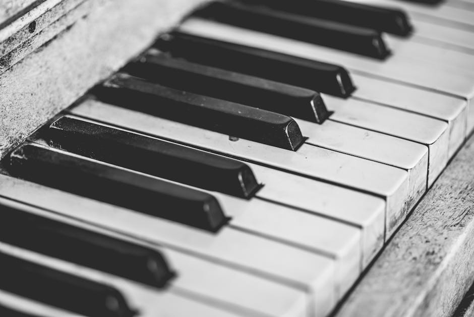 How to Use Music and Sound Effects in Your Travel Videos