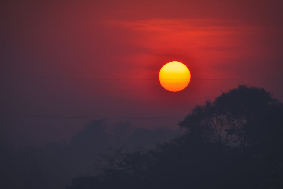 The Best Times and Locations for Golden Hour Photography