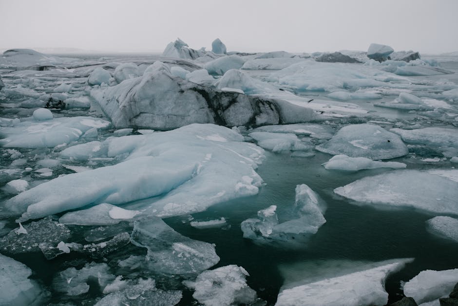 Adventures in the Frozen Beauty of Svalbard, Norway