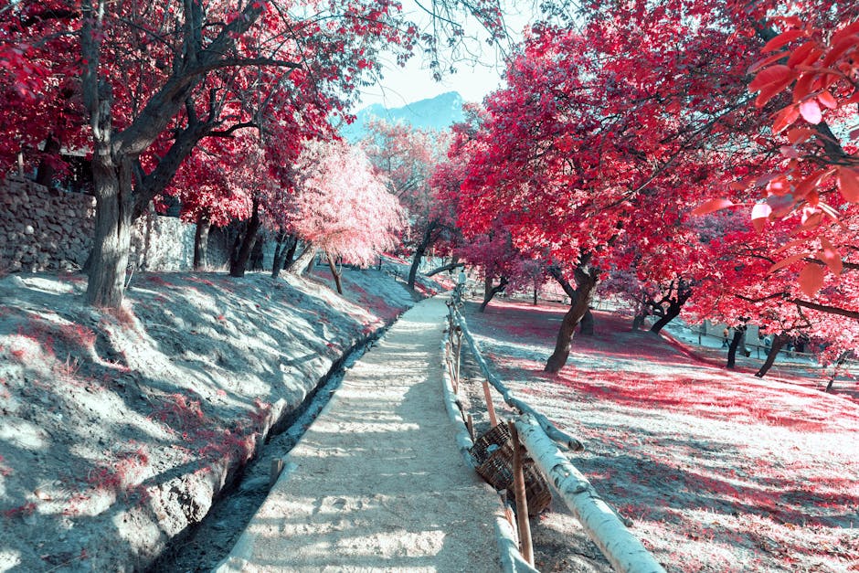 Editing Techniques to Make Your Travel Photos Pop